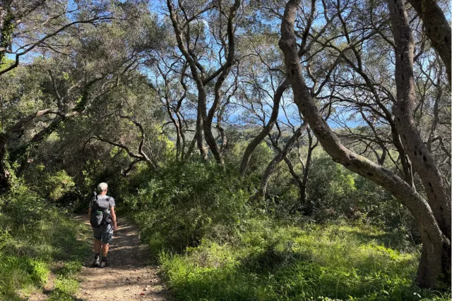 Walking in a woodland area on the Corfu Trail.