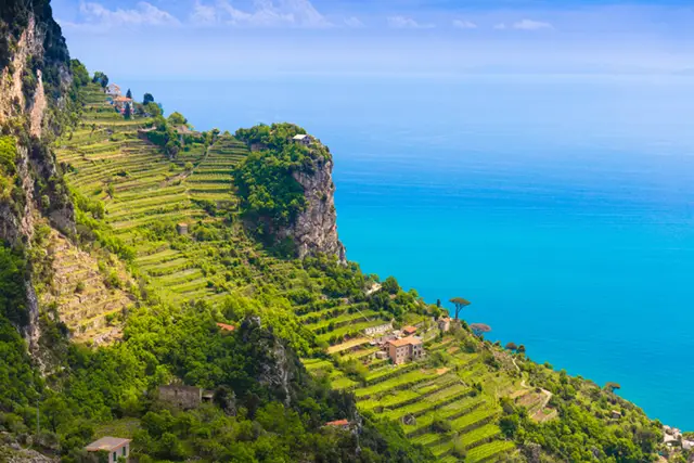 Lemon groves on the Path of the Gods hiking trail in the Amalfi Coast, Italy
