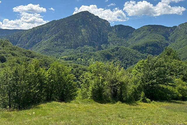 Tara Canyon in Durmitor National Park, Montenegro.