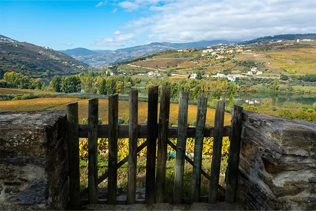 A landscape view of the Duoro Valley, Portugal 