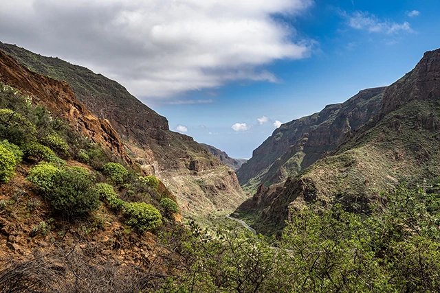 Hikers in Barranco de Guayadeque Canyon in Gran Canaria