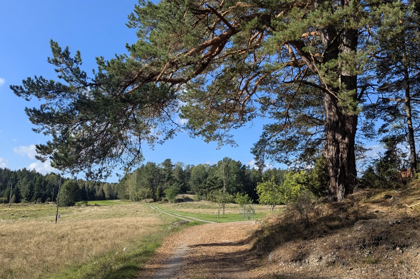 Hiking paths on the island of Orno on the Stockholm Archipelago in Sweden.