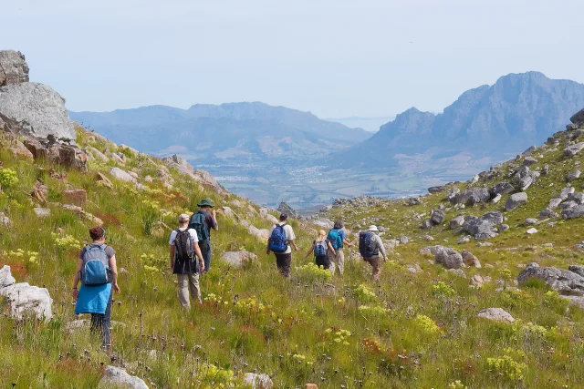 Group of walkers on holiday.