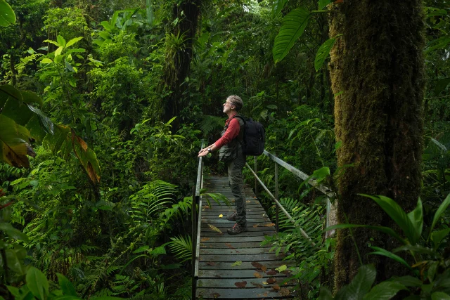 Walker in the jungle of Costa Rica.