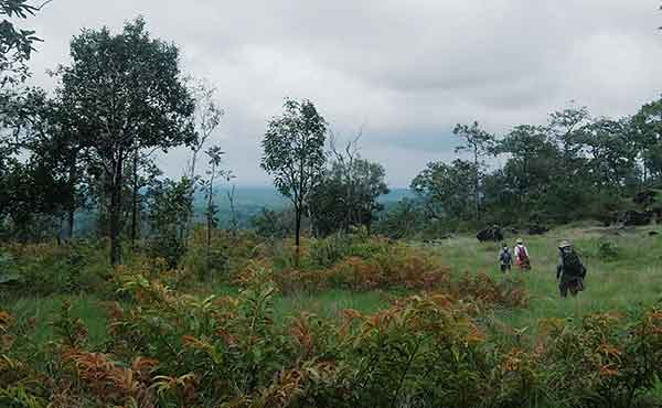 Hikers in Virachey National Park in Cambodia