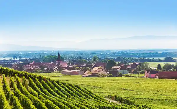 View of Kaysersberg, with vineyards in the foreground, Alsace, France.