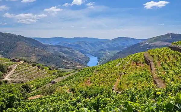 Douro Valley landscape in Portugal