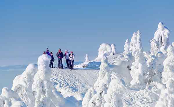 Cross-country skiiers in Koli National Park in Finland