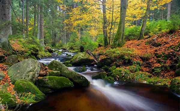 Waterfall in autumn forest along the Harz Witches Trail in Germany