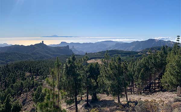 Pico de las Nieves & Mount Teide in Gran Canaria, the Canary Islands
