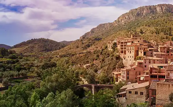 Olive groves in Catalonia, Spain