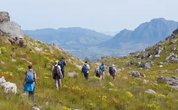 Group of walkers on holiday.